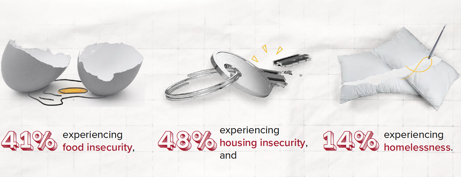 Graphic showing cracked eggshell with "41% experiencing food insecurity," broken keychain with "48% experiencing housing insecurity," and torn pillow with "14% experiencing homelessness.